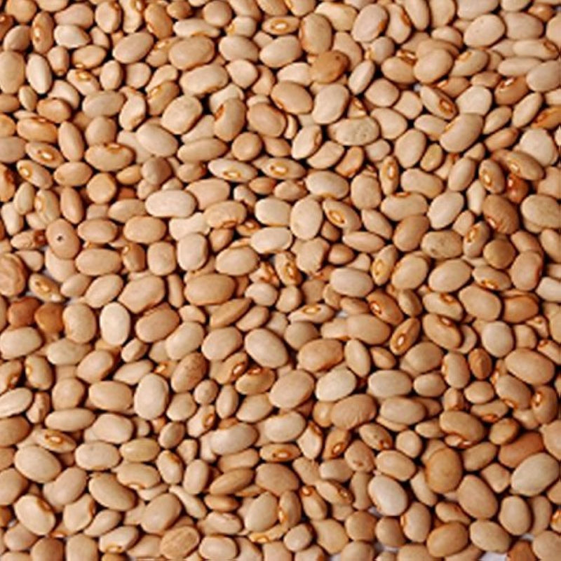 Oloyin (Honey) Beans 50lb BAG