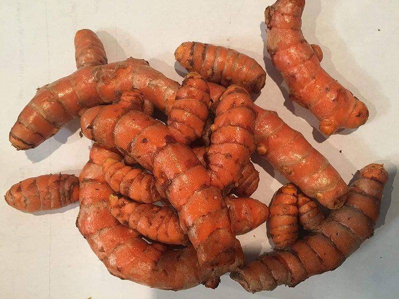 Fresh dried turmeric 1 Lb