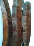 PREKESE, (OSASA) Aidan Fruit, Tetrapleura Tetraptera, Africa Herbs (3 pieces)