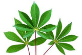 Jamtan- Cassava Leaves - 1 kg  (FROZEN)