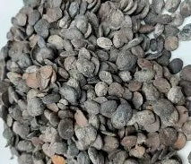 UZIZA LEAVES (DRIED) 5OZ , OGIRI (DRIED) 5OZ, UTAZI (DIRED) 5OZ TRIPLE PACK)