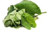 Kontomire Spinach leaves CAN 800G