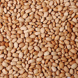 Oloyin (Honey) Beans 10lb Pack