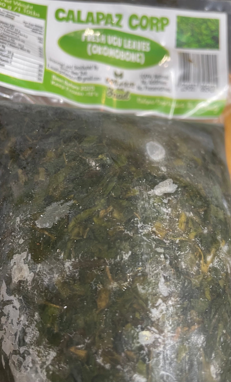 CALAPAS BITTER LEAVES 50 X 500 G