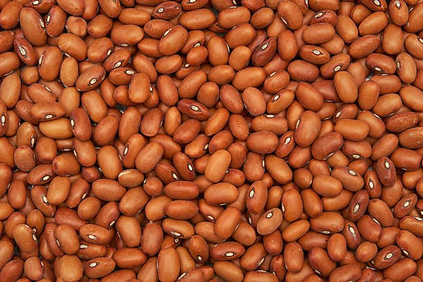 Heybeans HONEY BEANS 50LBS BAG – Guggin Foods