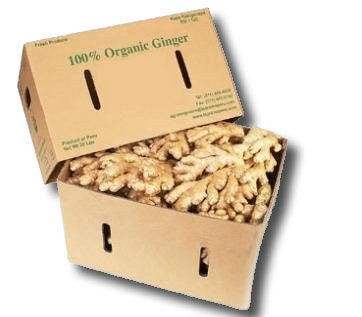 ORGANIC GINGER 20LBS BOX