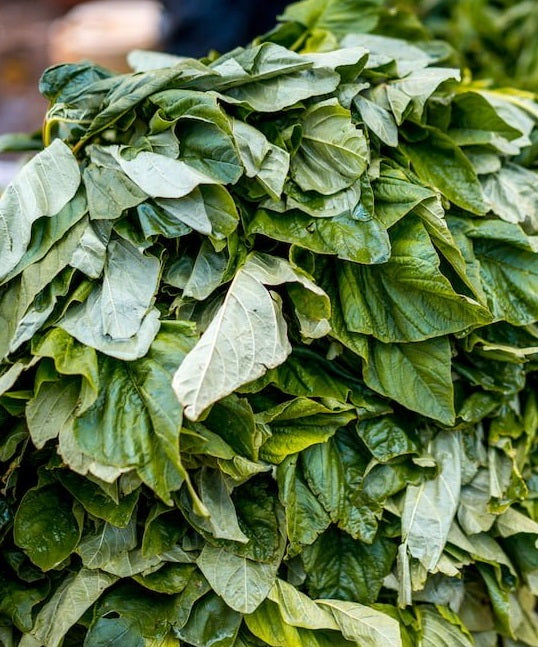 Frozen UGU Leaves - 50 x 500 g 1 CASE