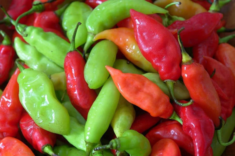 Fresh Trinidad Pimento Peppers (Seasoning Pepper) 1 BOX