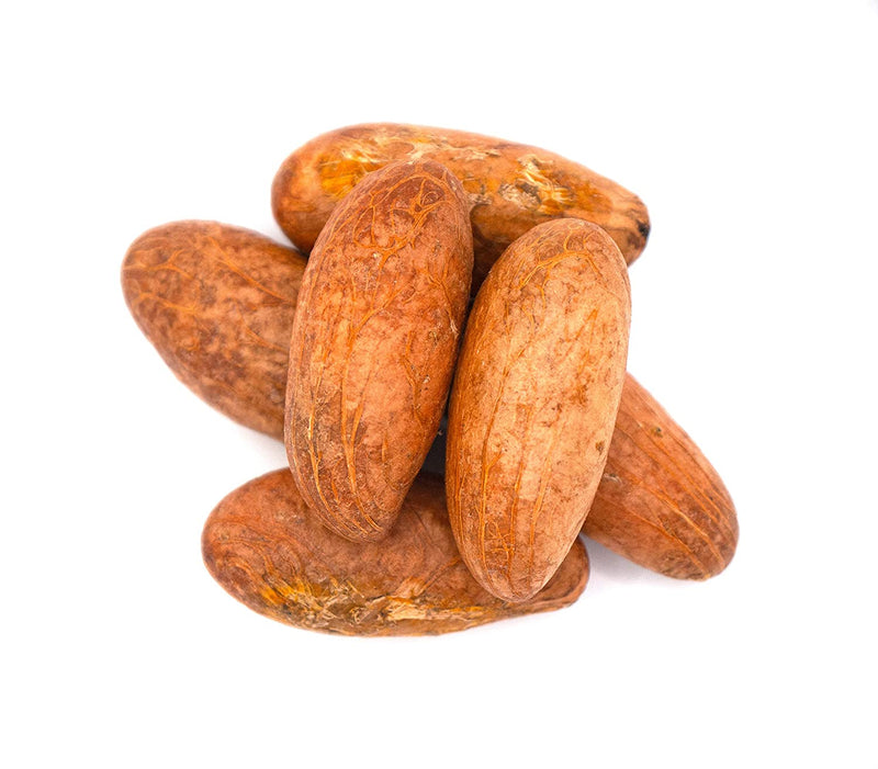 African Bitter Kola Nuts 1lbs