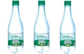 Poland Spring Sparkling Plain 16.9 oz Bottle (24 pack) Case