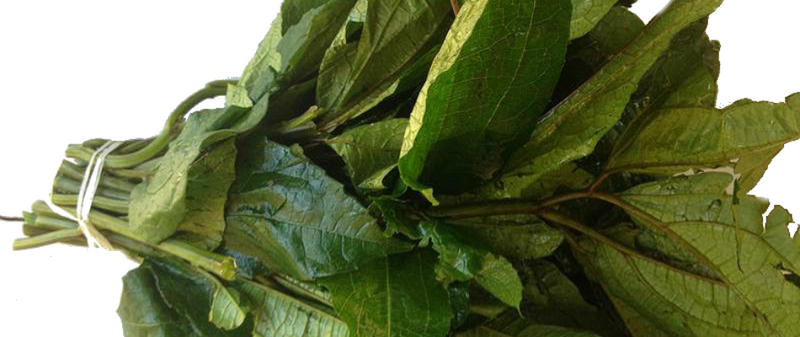 Ugu Leaves Dry 2oz Bag
