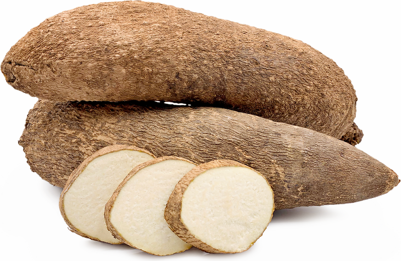 African yam Tuber, Nigerian yam 4lbs